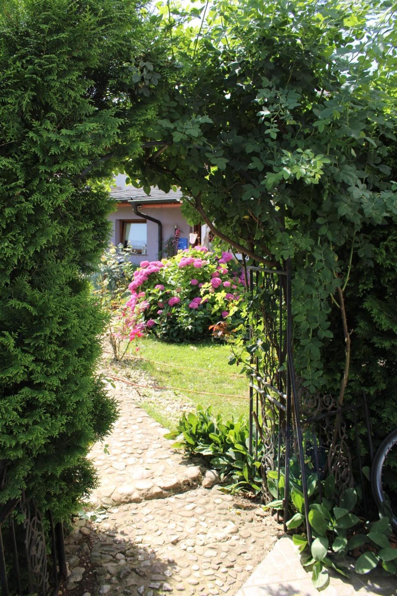 Baci For 4 Guests * Ljubljana